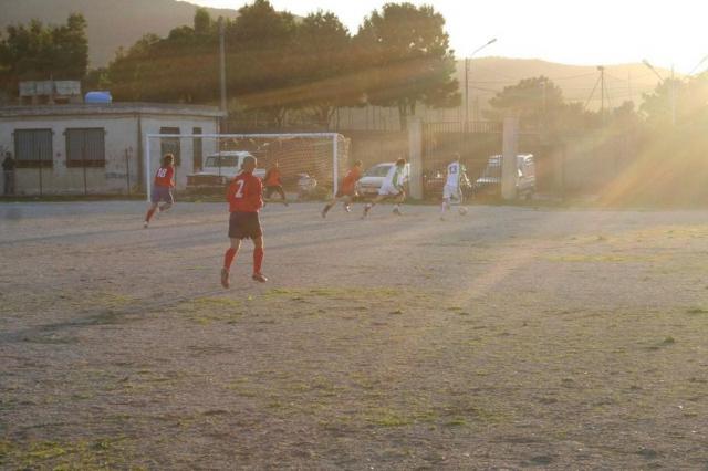 CARONIA - PARNASSIUS (392).jpg