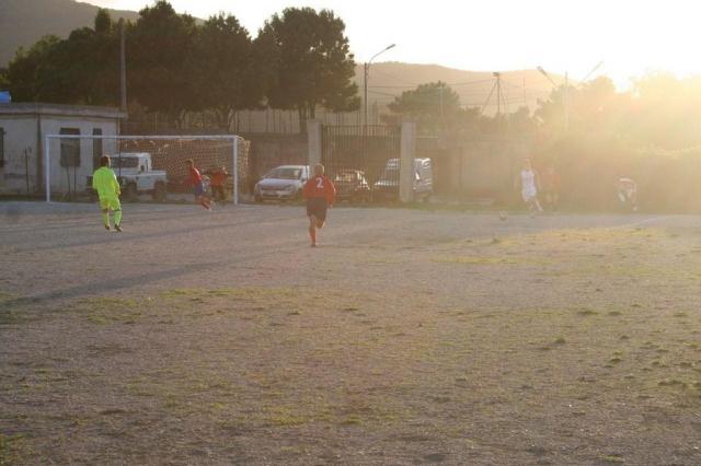 CARONIA - PARNASSIUS (393).jpg