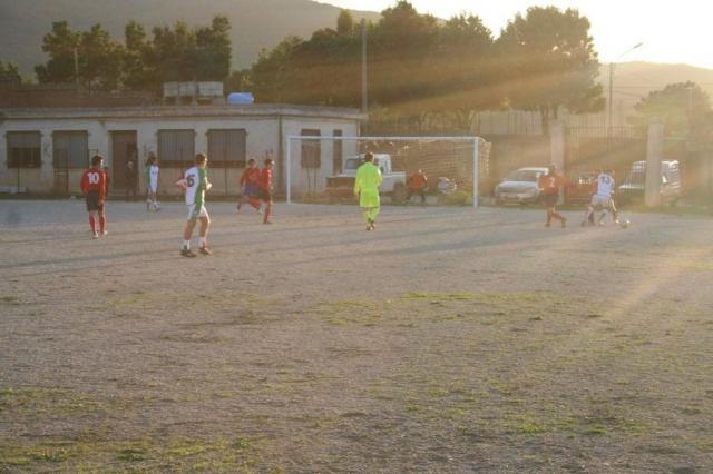 CARONIA - PARNASSIUS (398).jpg