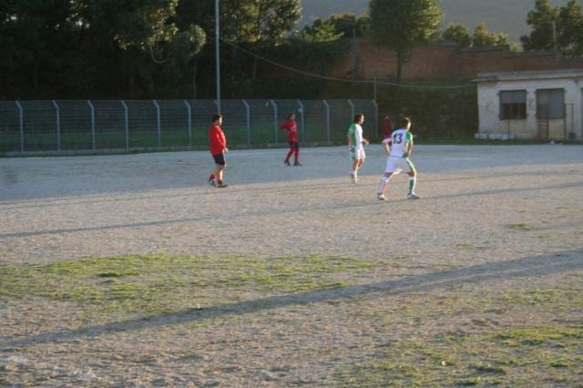 CARONIA - PARNASSIUS (405).jpg