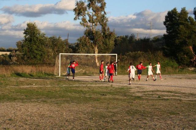 CARONIA - PARNASSIUS (406).jpg