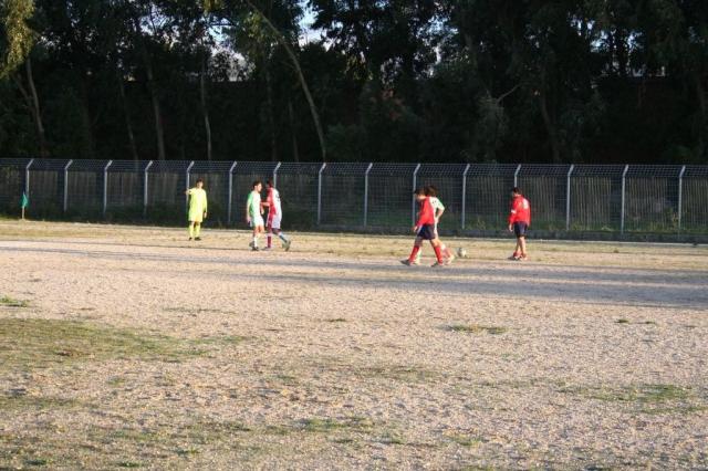 CARONIA - PARNASSIUS (407).jpg