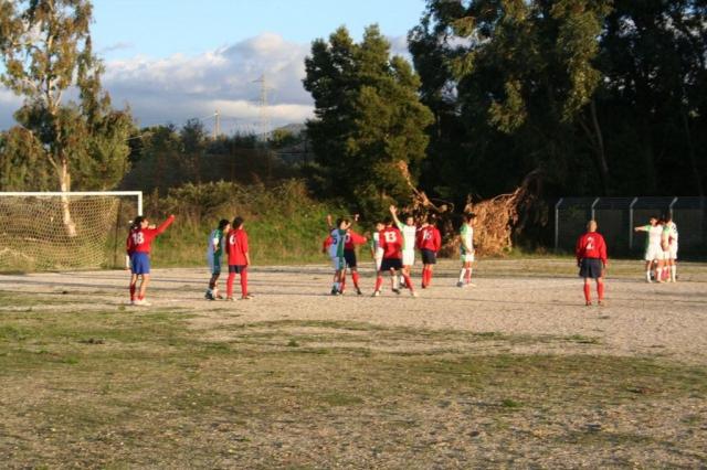 CARONIA - PARNASSIUS (412).jpg