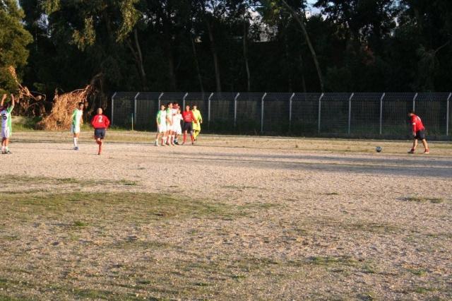 CARONIA - PARNASSIUS (415).jpg