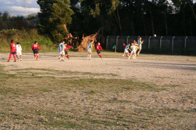 CARONIA - PARNASSIUS (416).jpg