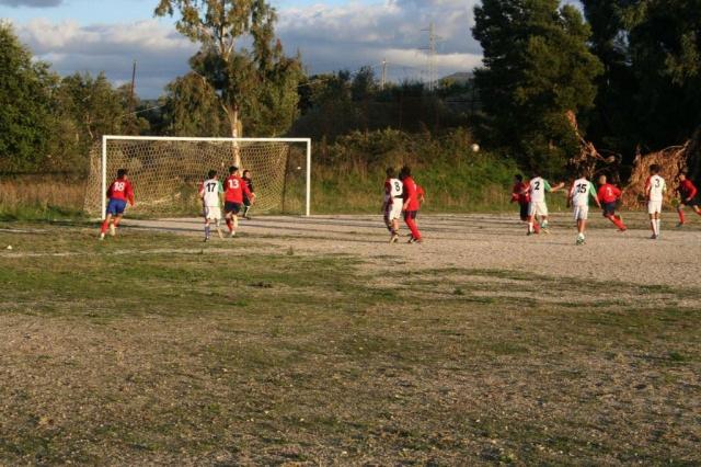 CARONIA - PARNASSIUS (418).jpg