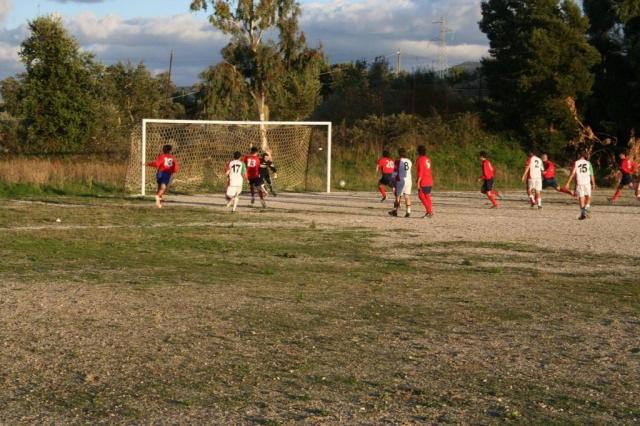 CARONIA - PARNASSIUS (419).jpg