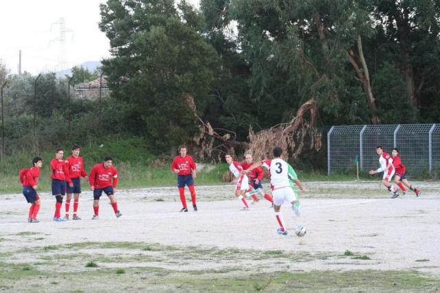 CARONIA - PARNASSIUS (42).jpg