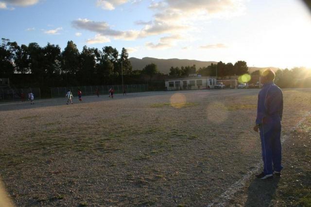 CARONIA - PARNASSIUS (428).jpg