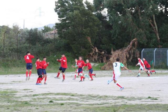 CARONIA - PARNASSIUS (43).jpg