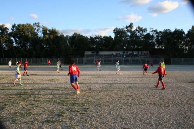 CARONIA - PARNASSIUS (430).jpg