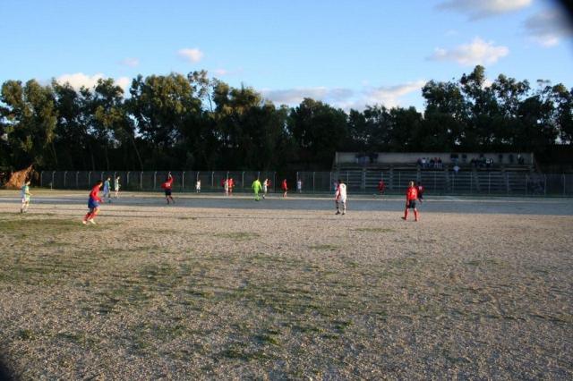 CARONIA - PARNASSIUS (432).jpg