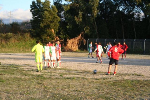 CARONIA - PARNASSIUS (435).jpg