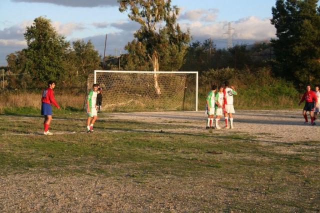 CARONIA - PARNASSIUS (436).jpg