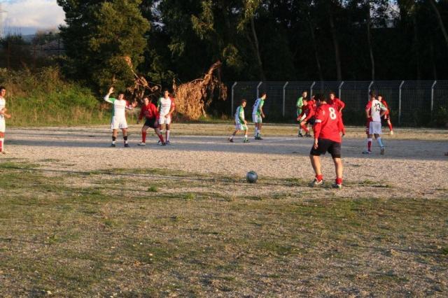 CARONIA - PARNASSIUS (438).jpg