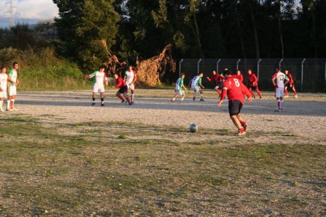 CARONIA - PARNASSIUS (439).jpg