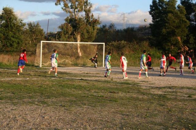 CARONIA - PARNASSIUS (443).jpg