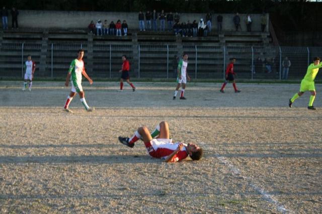 CARONIA - PARNASSIUS (454).jpg