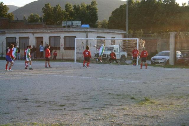 CARONIA - PARNASSIUS (456).jpg