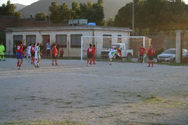 CARONIA - PARNASSIUS (457).jpg