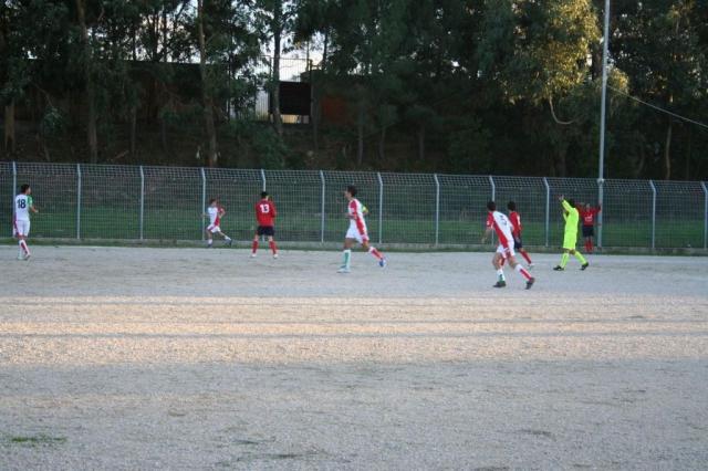 CARONIA - PARNASSIUS (460).jpg