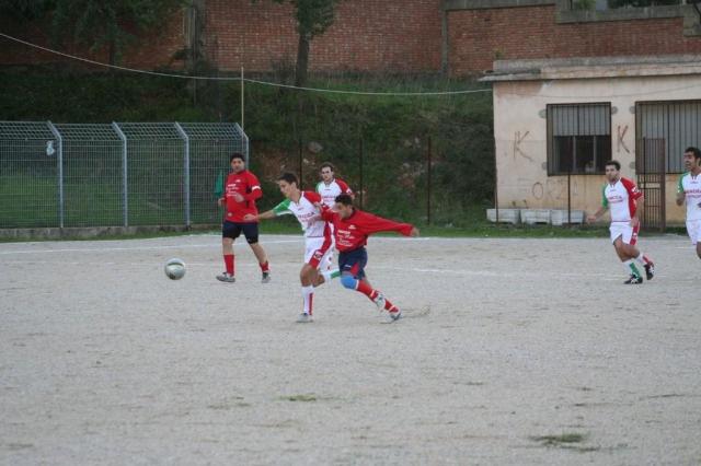 CARONIA - PARNASSIUS (49).jpg