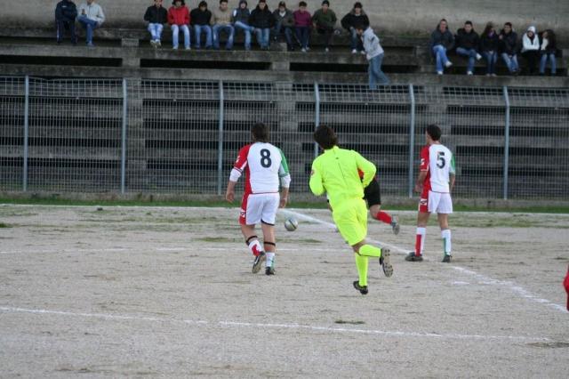 CARONIA - PARNASSIUS (53).jpg