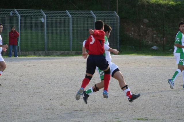 CARONIA - PARNASSIUS (55).jpg