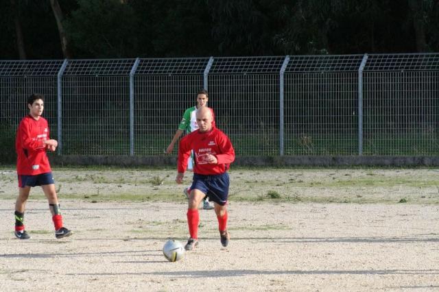 CARONIA - PARNASSIUS (59).jpg