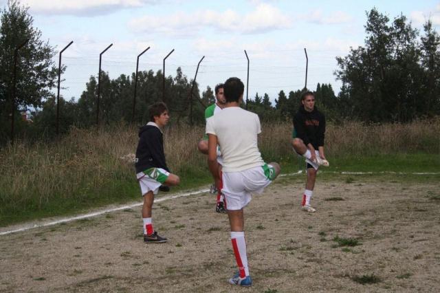 CARONIA - PARNASSIUS (6).jpg