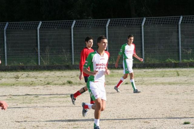 CARONIA - PARNASSIUS (60).jpg