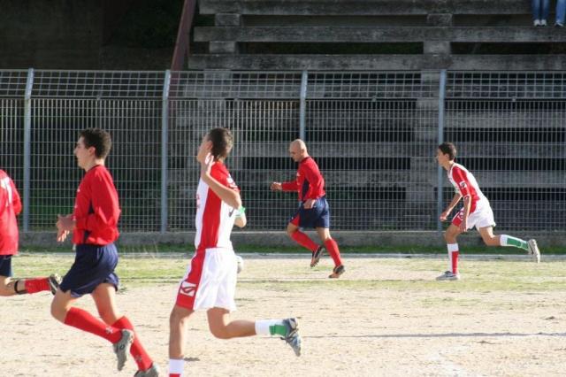 CARONIA - PARNASSIUS (61).jpg