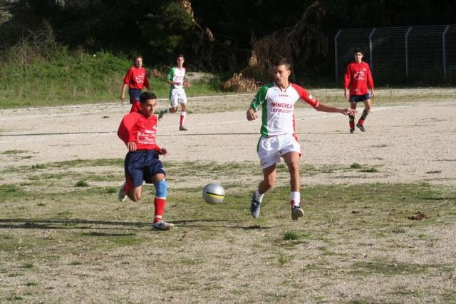 CARONIA - PARNASSIUS (64).jpg