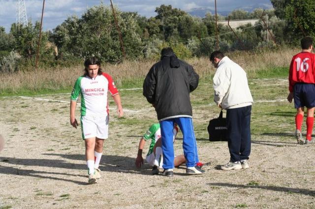 CARONIA - PARNASSIUS (65).jpg