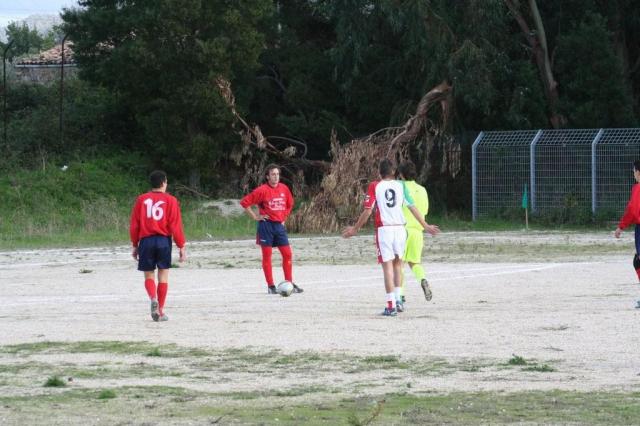 CARONIA - PARNASSIUS (67).jpg