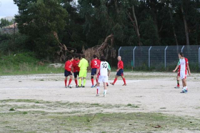 CARONIA - PARNASSIUS (69).jpg