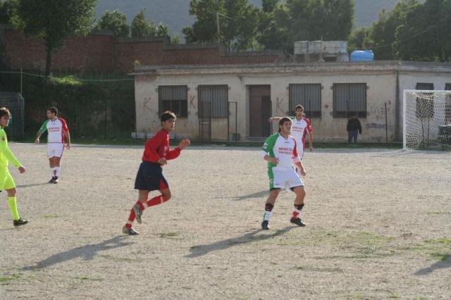 CARONIA - PARNASSIUS (70).jpg