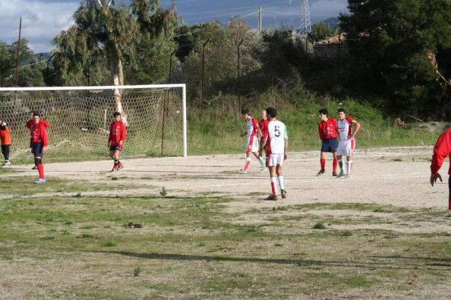 CARONIA - PARNASSIUS (73).jpg