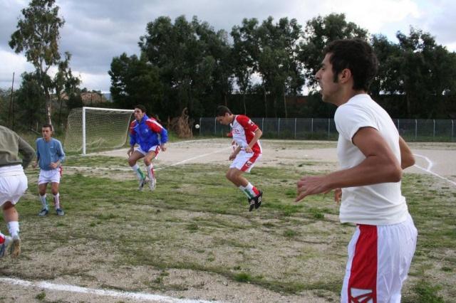 CARONIA - PARNASSIUS (8).jpg