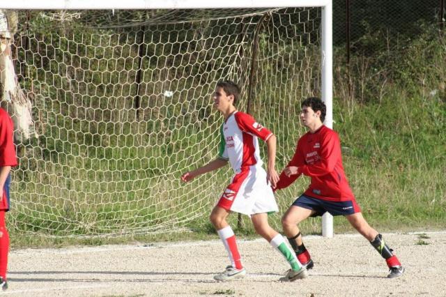 CARONIA - PARNASSIUS (80).jpg