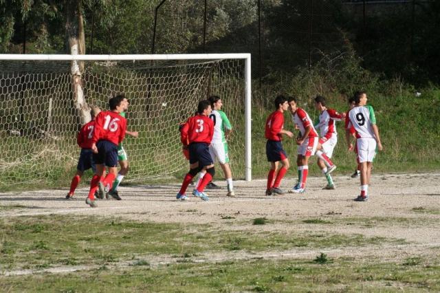 CARONIA - PARNASSIUS (84).jpg