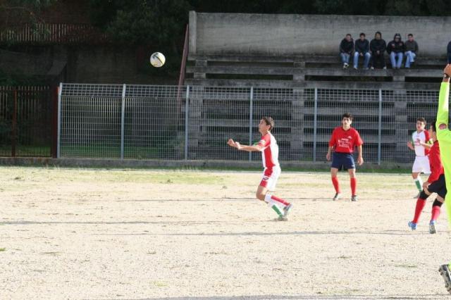 CARONIA - PARNASSIUS (88).jpg