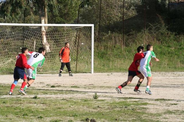 CARONIA - PARNASSIUS (92).jpg