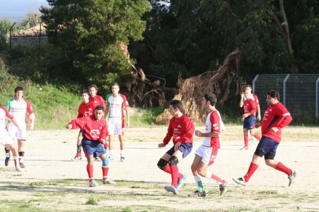 CARONIA - PARNASSIUS (93).jpg