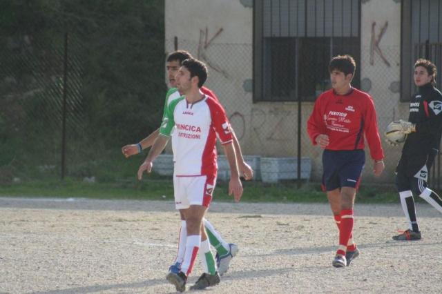 CARONIA - PARNASSIUS (98).jpg