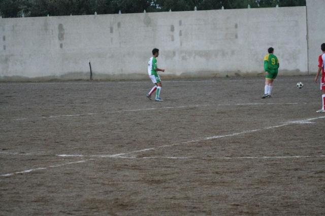 PARNASSIUS - CESARO (100).jpg