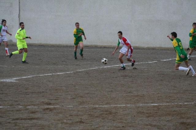 PARNASSIUS - CESARO (102).jpg