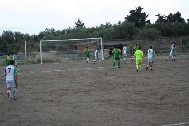 PARNASSIUS - CESARO (105).jpg