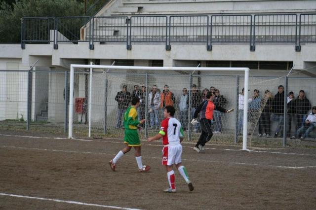 PARNASSIUS - CESARO (111).jpg