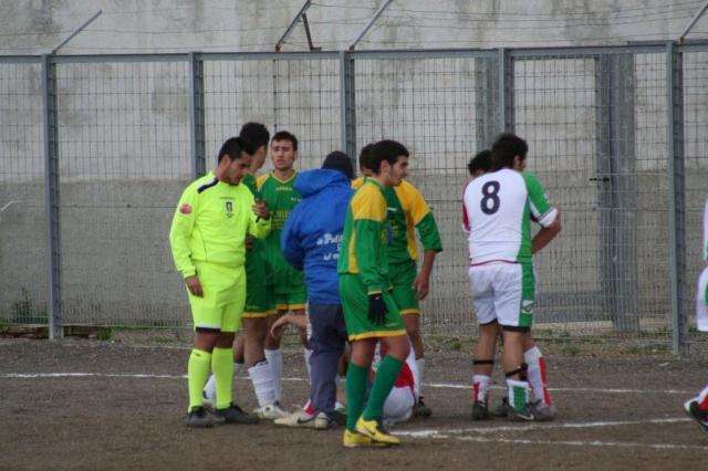 PARNASSIUS - CESARO (117).jpg